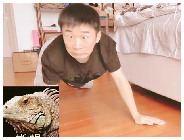 一个模仿的对象是蜥蜴,不知道是杨迪有模仿天分还是长相的原因,这个
