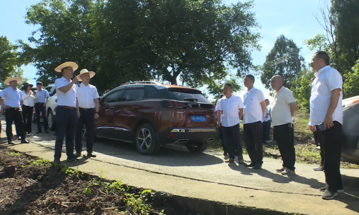 破茧成蝶后怎样绽放？南充嘉陵的龙蟠这个动作背后包裹着啥名堂…休闲区蓝鸢梦想 - Www.slyday.coM