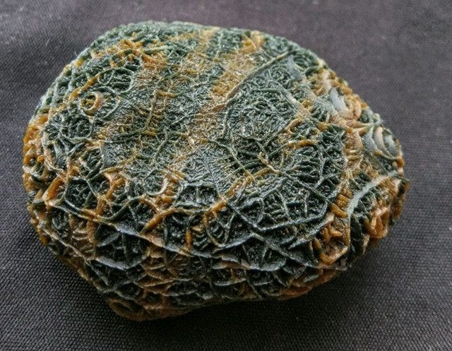 男子戈壁探险发现一"罕见奇石",仔细一看,直接带回家