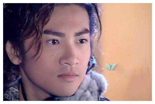 杨四郎这个角色,当时是苏有朋出演的,整个故事的主角,自然是很受大家