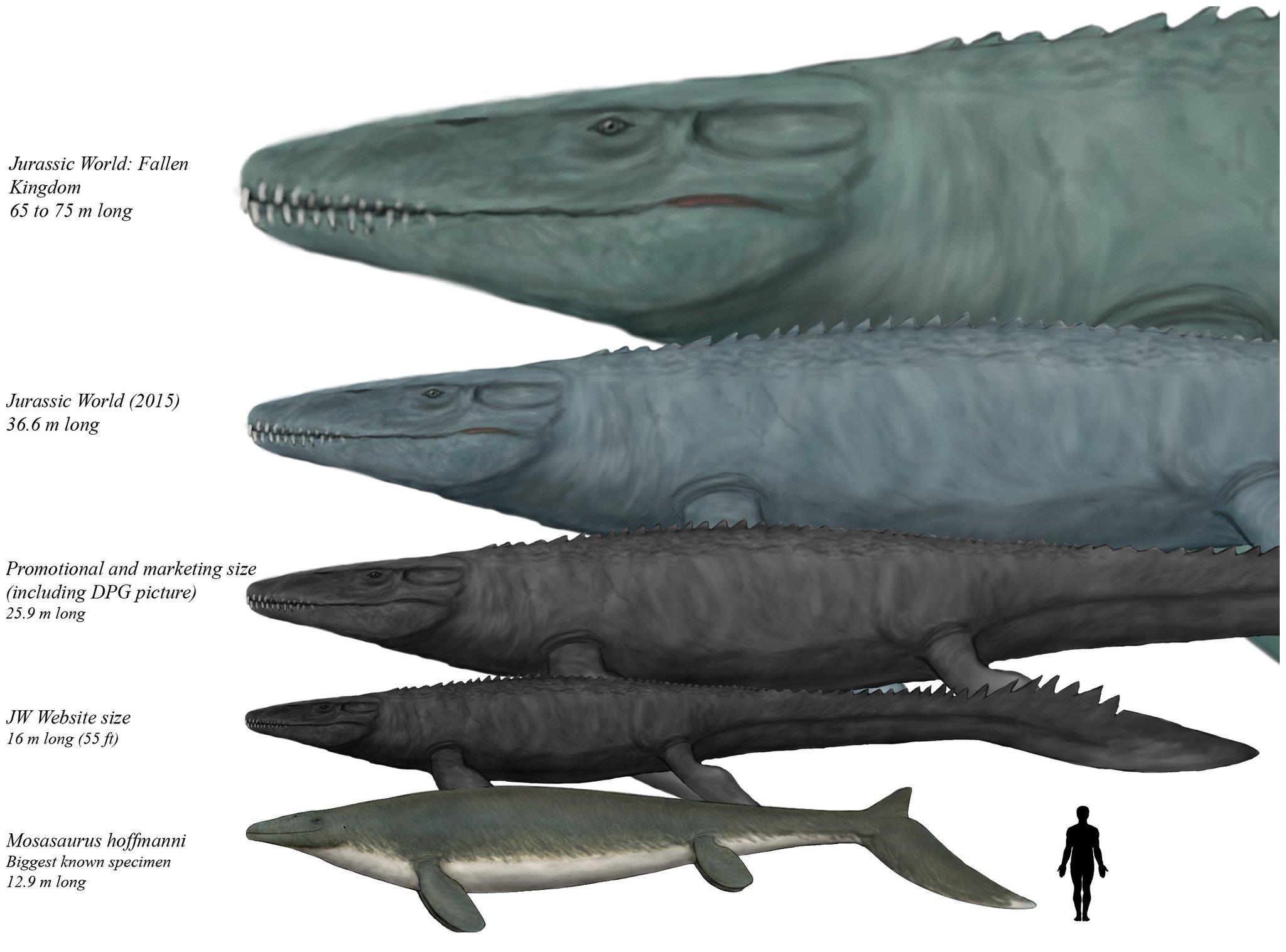 白垩纪海洋中的绝对统治者,海洋沧龙,到底有多可怕?