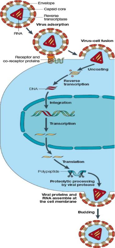 ps怎么复制图标