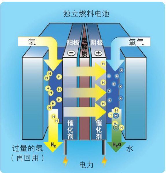 药理学第七版