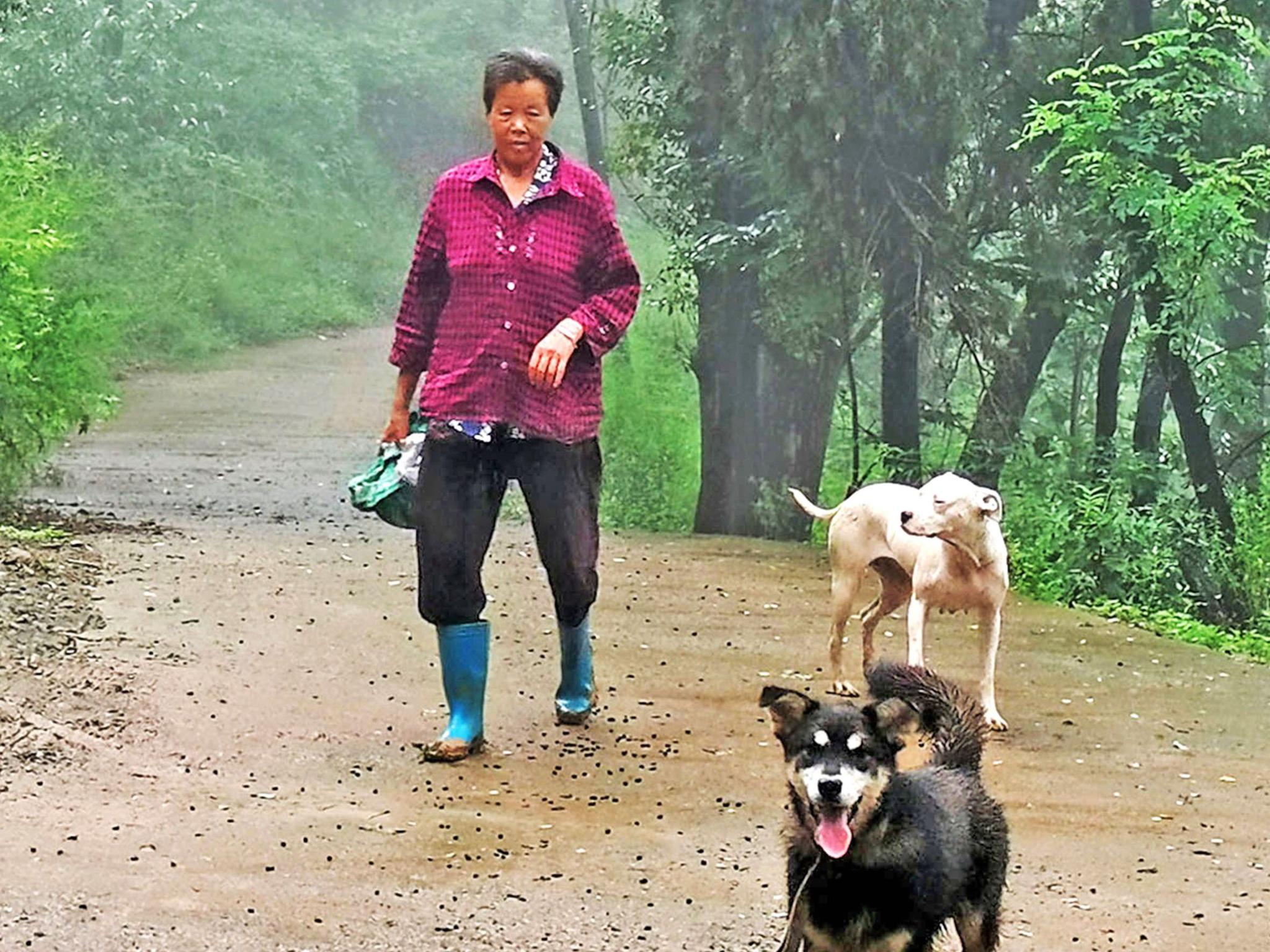 本来准备拍点山雾影像,没想到途中遇到一个60多岁的大妈,穿双雨鞋,拿