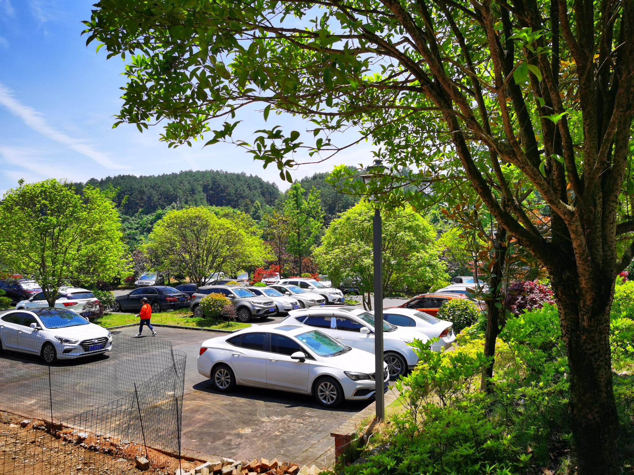 乌羊麻生态停车场麻江蓝莓宣传片卡乌药谷江村菊花园乌羊麻桃花岛美景