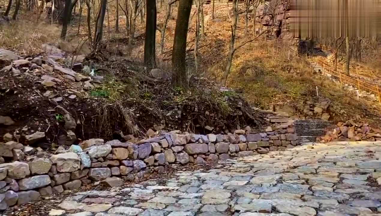 这个地方太奇特,在这座山坡的房子前面坡地起来一座石头柱稀奇