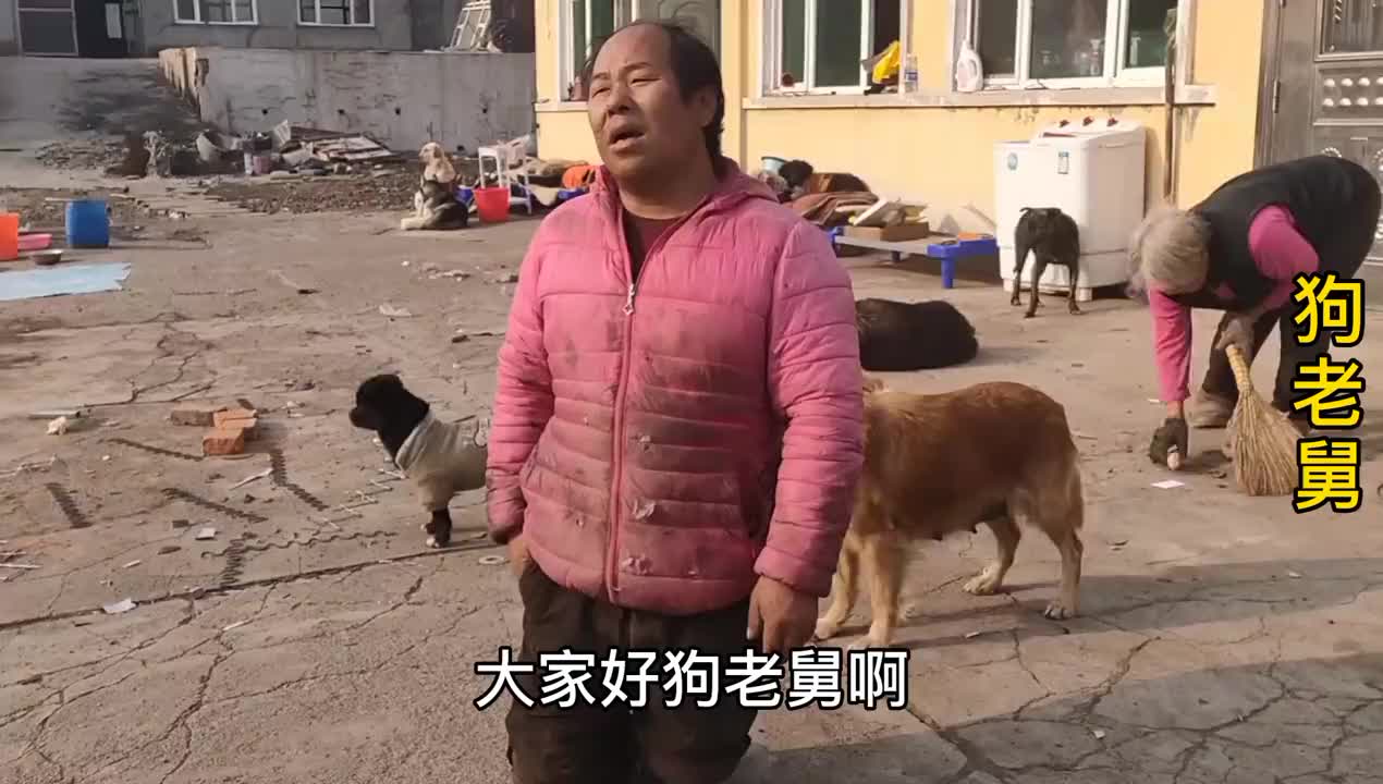 东北冬天吃水难流浪狗基地三天没水老舅花块出水了值了