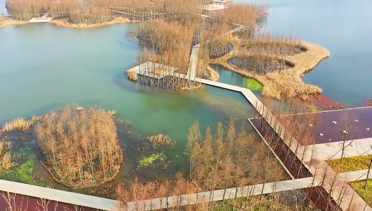南昌新晋网红公园–鱼尾洲湿地公园航拍