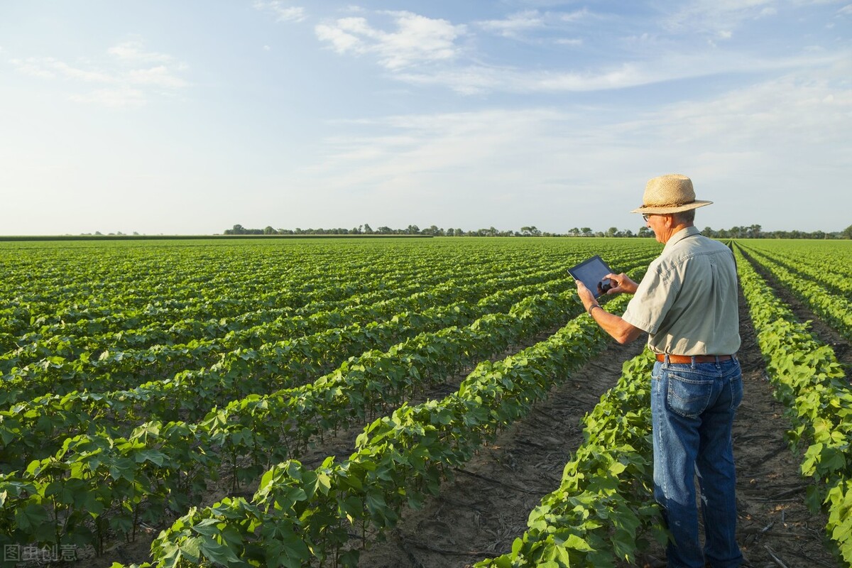 快大中猪农缩饲料每吨出厂价多少？