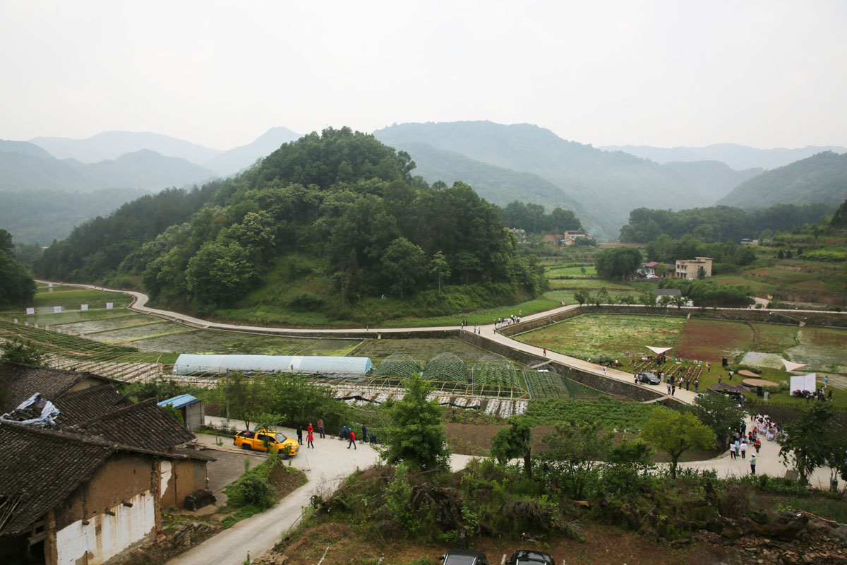 石泉草池湾:秦岭里的隐世小山村,美如仙境,引来国宝朱鹮安家