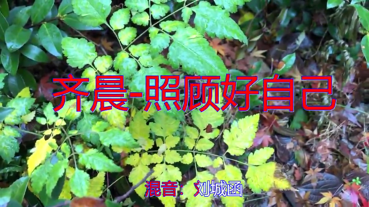 分享一首《齐晨-照顾好自己》,声音是那么的好听