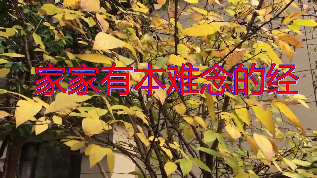 分享一首《家家有本难念的经》,听一次爱一次,太好听了