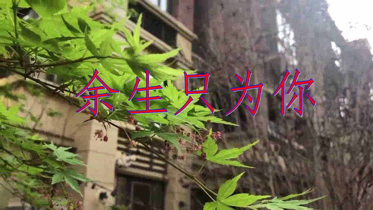 好歌分享,《余生只为你》,感情饱满,感觉棒棒哒