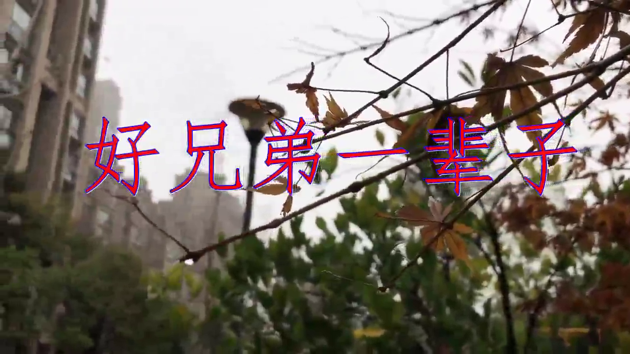 dj何鹏,萧磊,樊少华的一首《好兄弟一辈子》,歌声很有震撼力