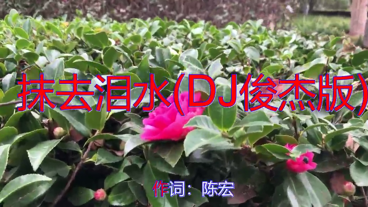 韩宝仪的一首《抹去泪水(dj俊杰版)》,暖耳感心,让人沉迷