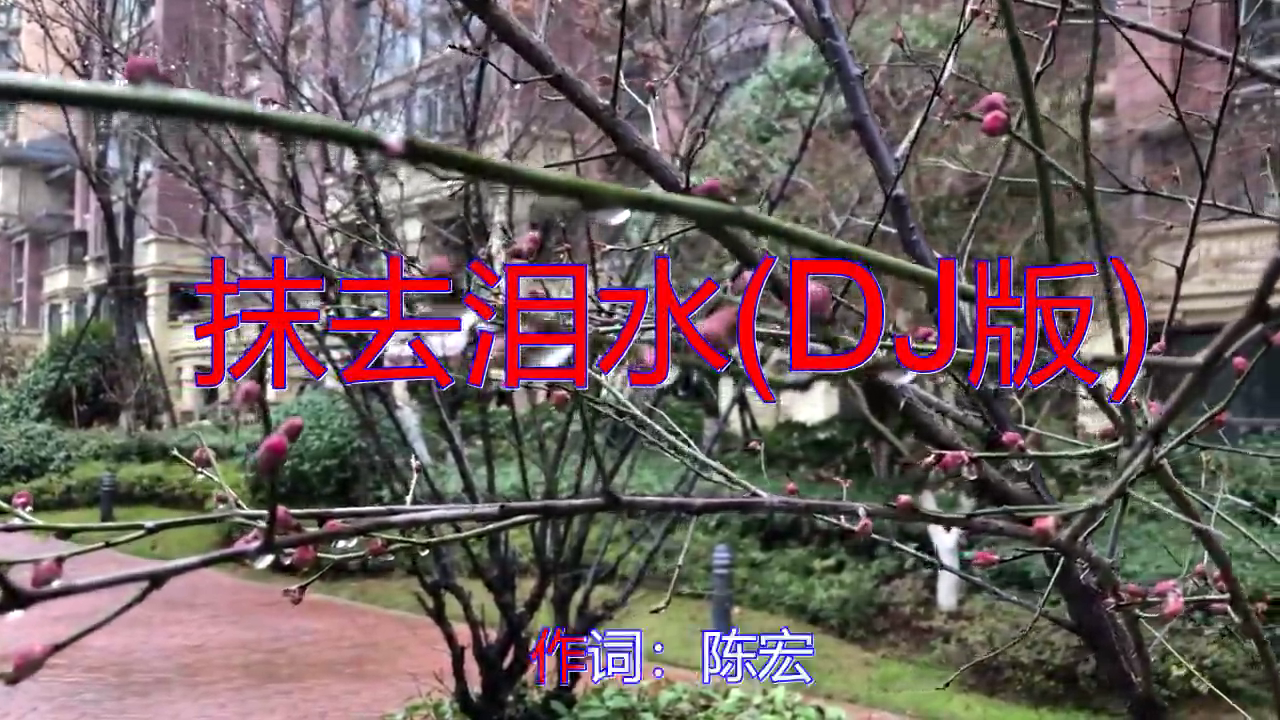 韩宝仪《抹去泪水(dj版)》,一开口抚慰了无数听者的心