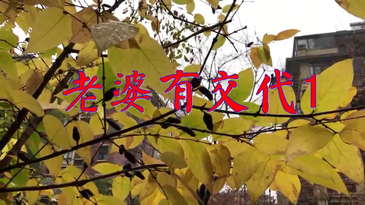 望海高歌《老婆有交代1》,歌声如黄莺出谷,让人陶醉