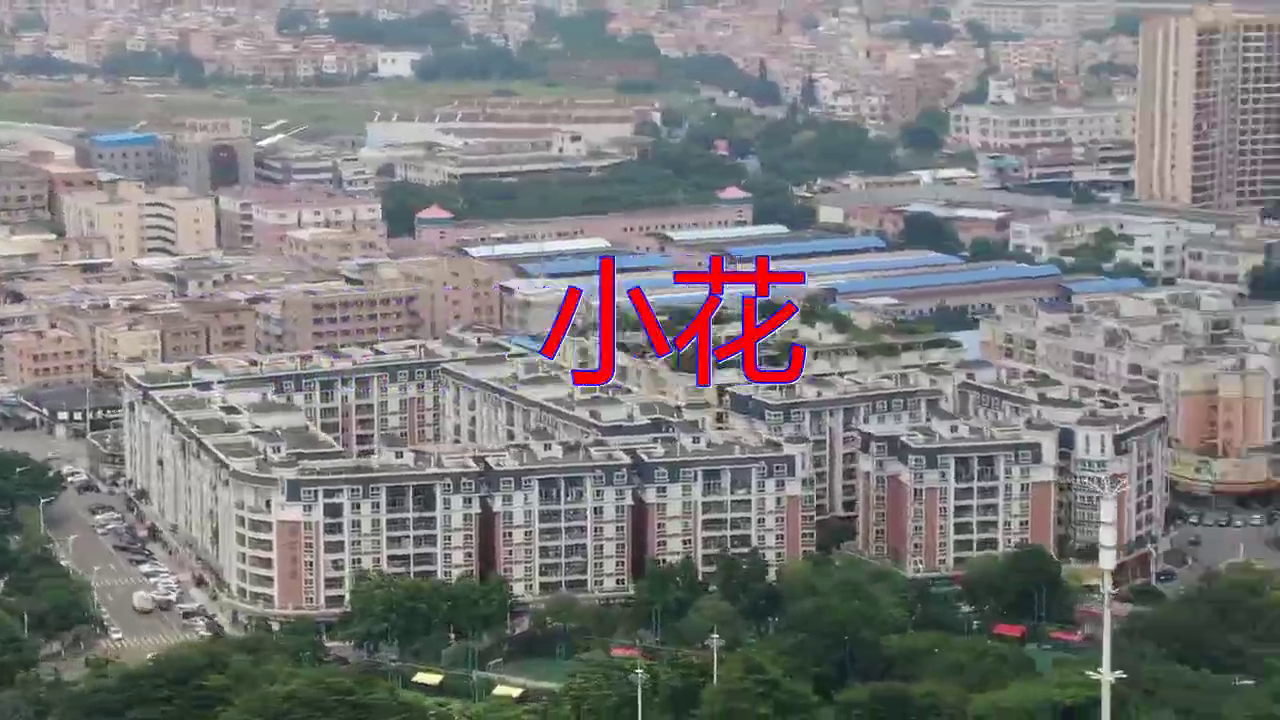 分享dj何鹏,陈玉建的经典歌曲《小花》,经典歌曲,心旷神怡