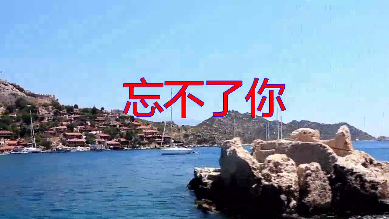 谭咏麟的一首《忘不了你》,真是好有感觉,超好听