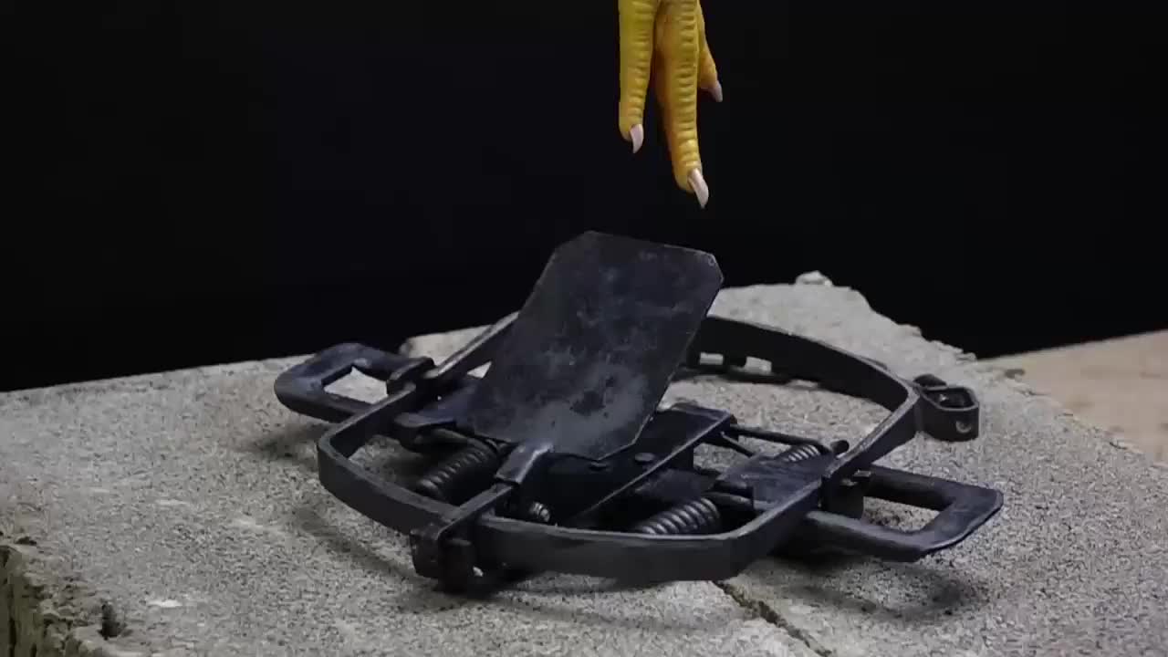 动物踩到捕兽夹会是什么下场?男子用鸡爪亲测,看完一阵后怕!