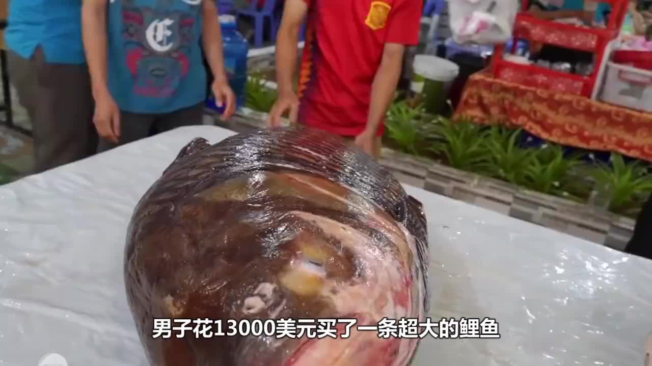 世界上最大的淡水鱼,鱼鳞要用锤子才能敲下来,比盔甲还硬