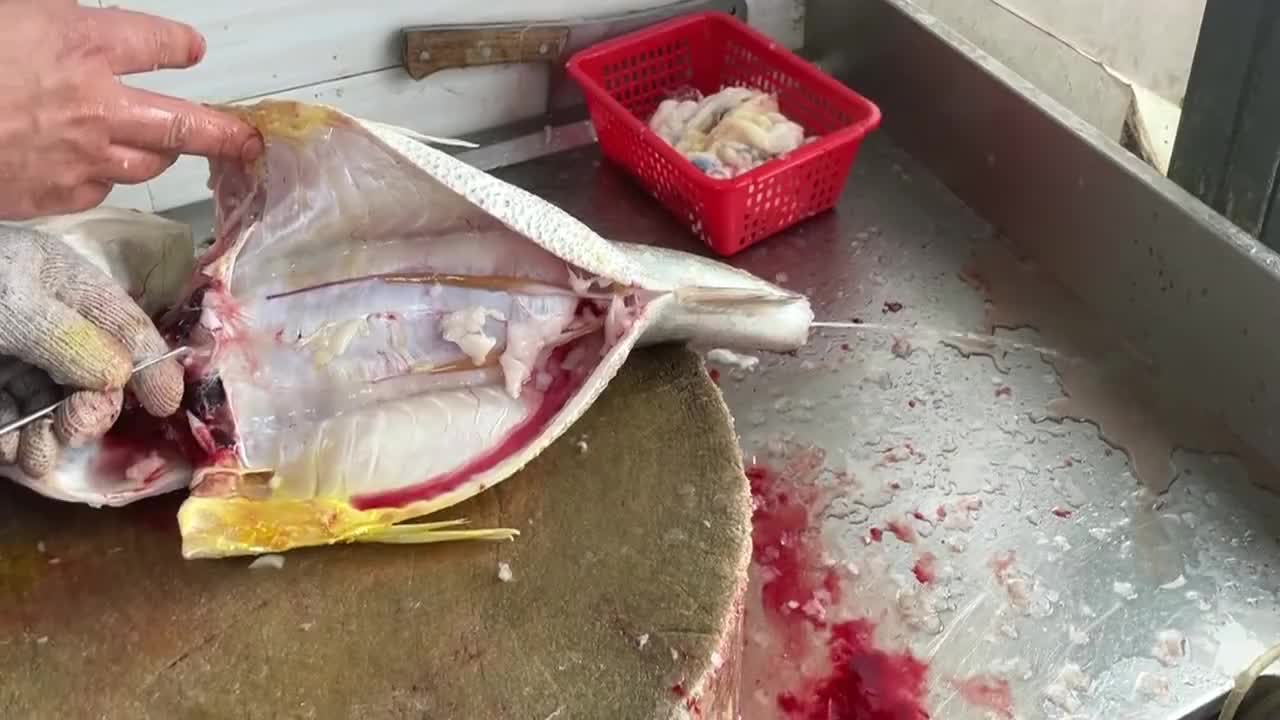 看广东大厨是这样给鱼放血的看着就专业长见识了