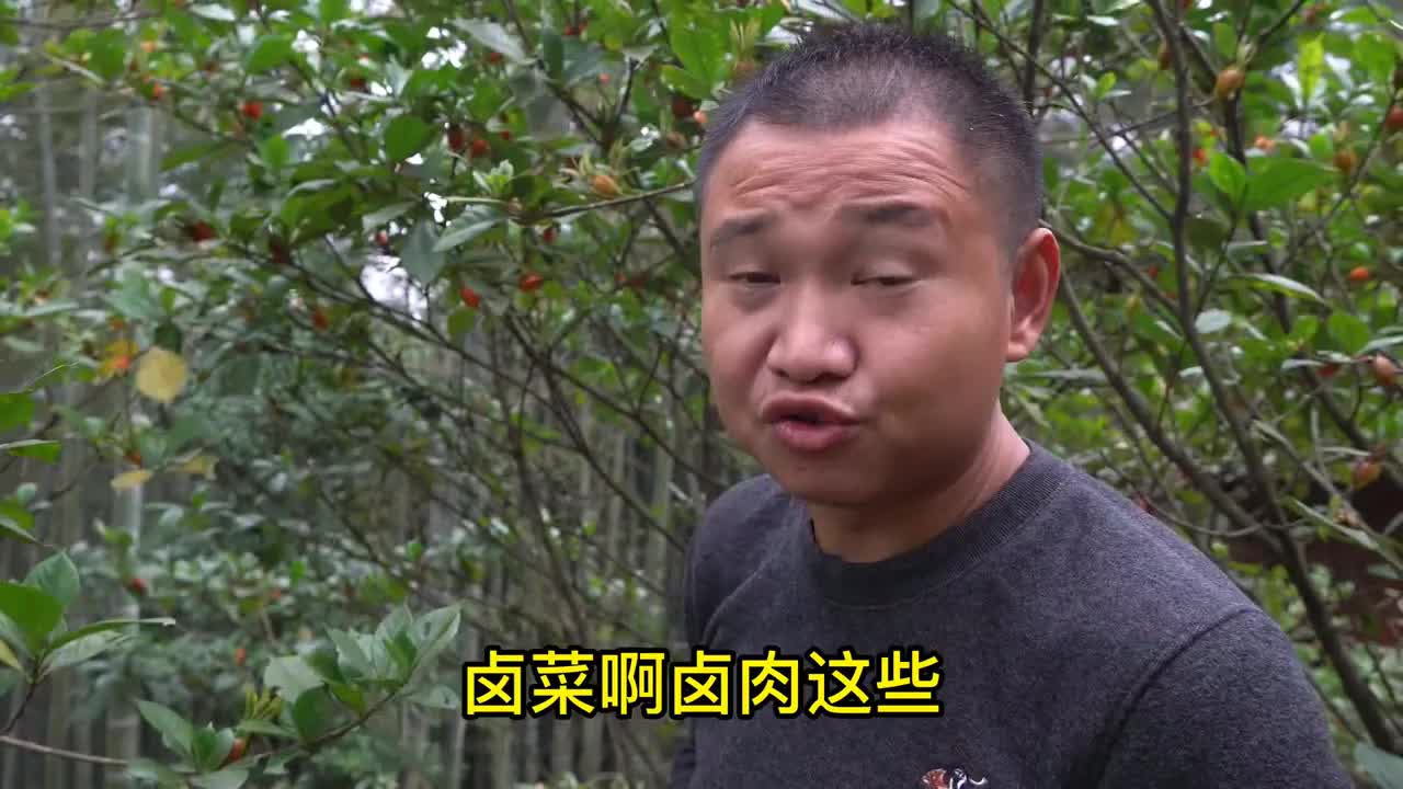 农村王四王四摘1斤多黄栀子听说用途挺广泛你见没见过