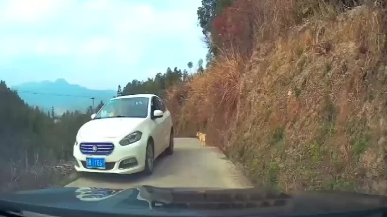 开二手车窄路会车坠崖,不会就请人帮忙嘛