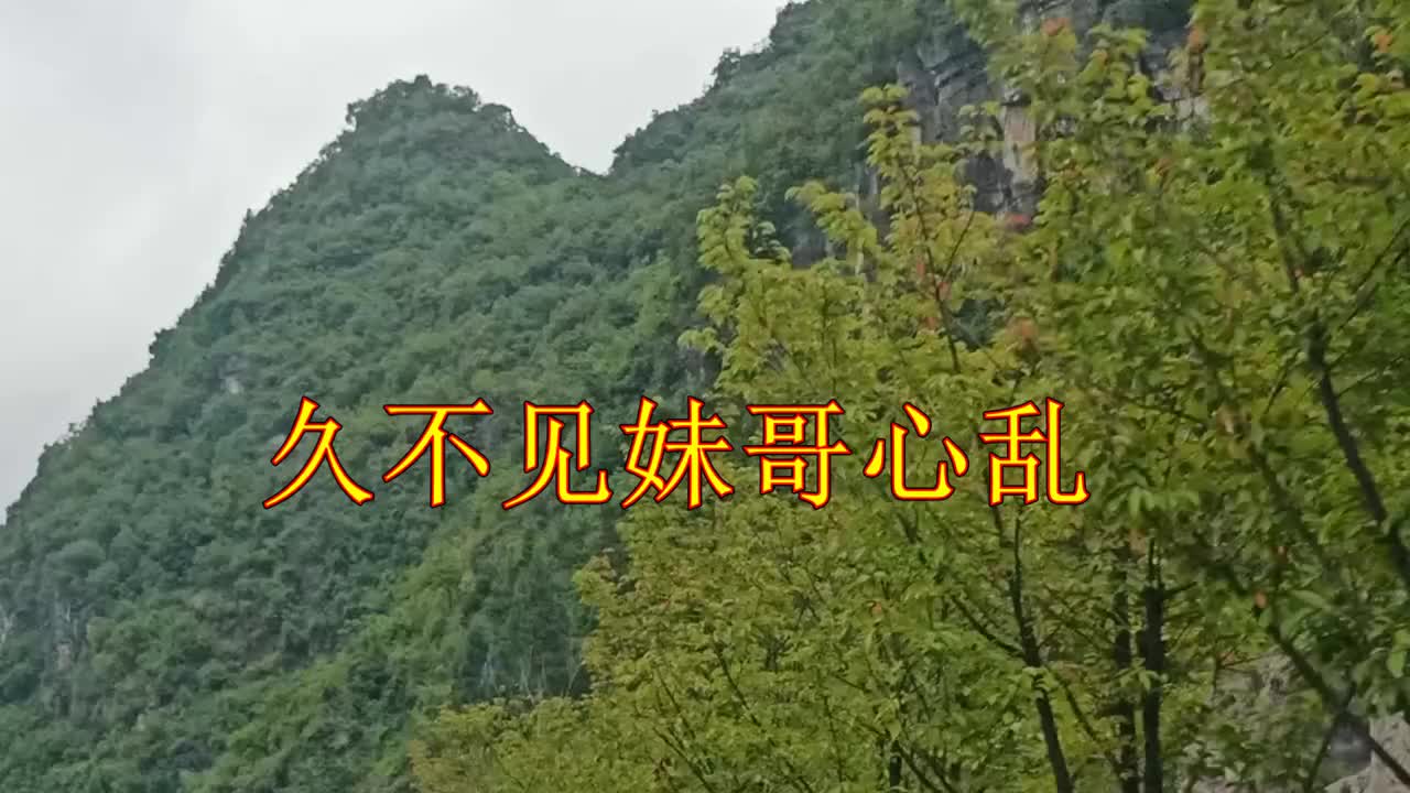 云南山歌久不见妹哥心乱经典山歌民间小调