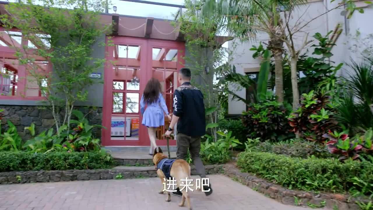 神犬小七安心带敖力参观公司真是各种设施都有