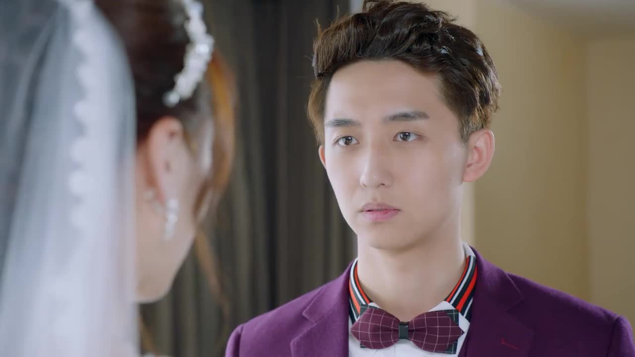 神犬小七:原本都快要结婚了,新娘却说了对不起