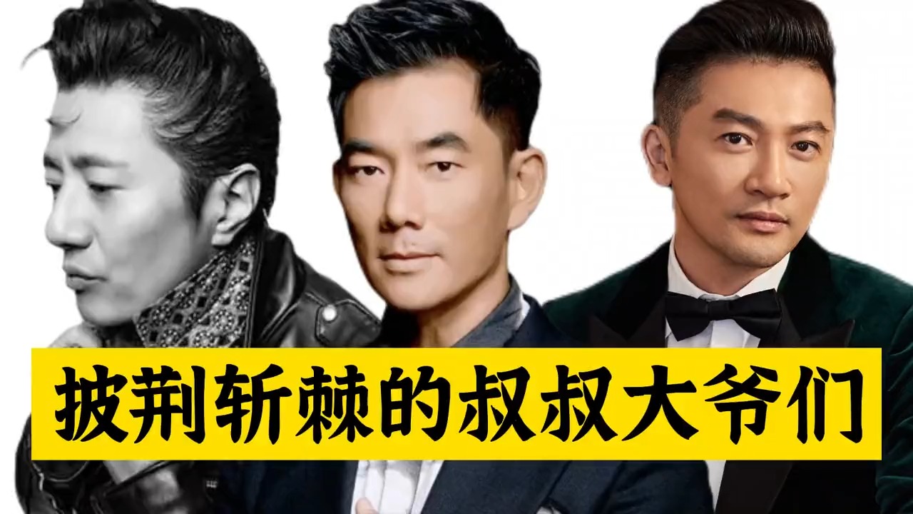 任贤齐、苏有朋、郑钧这些叔叔们，谁能成为下一个王心凌？