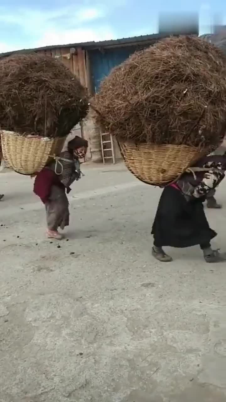 身背重物,直不起腰