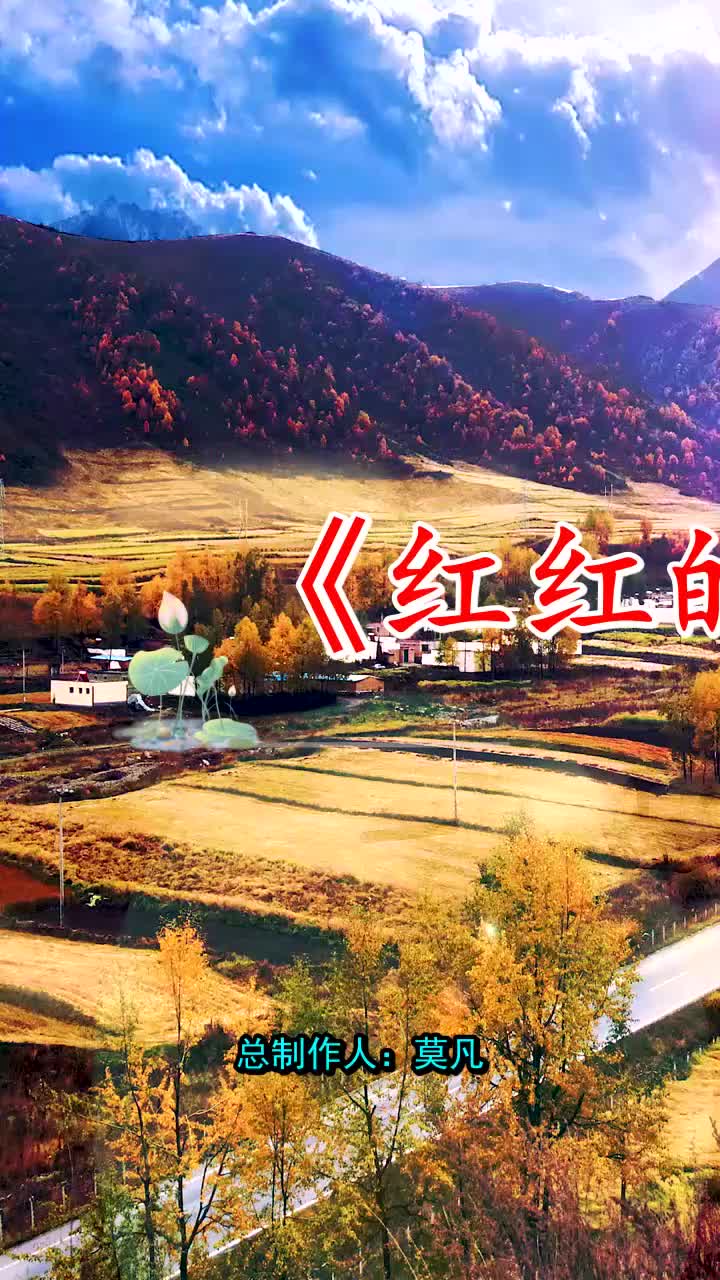 我刚刚看了红红的太阳张韶涵特别好看强力推荐哦