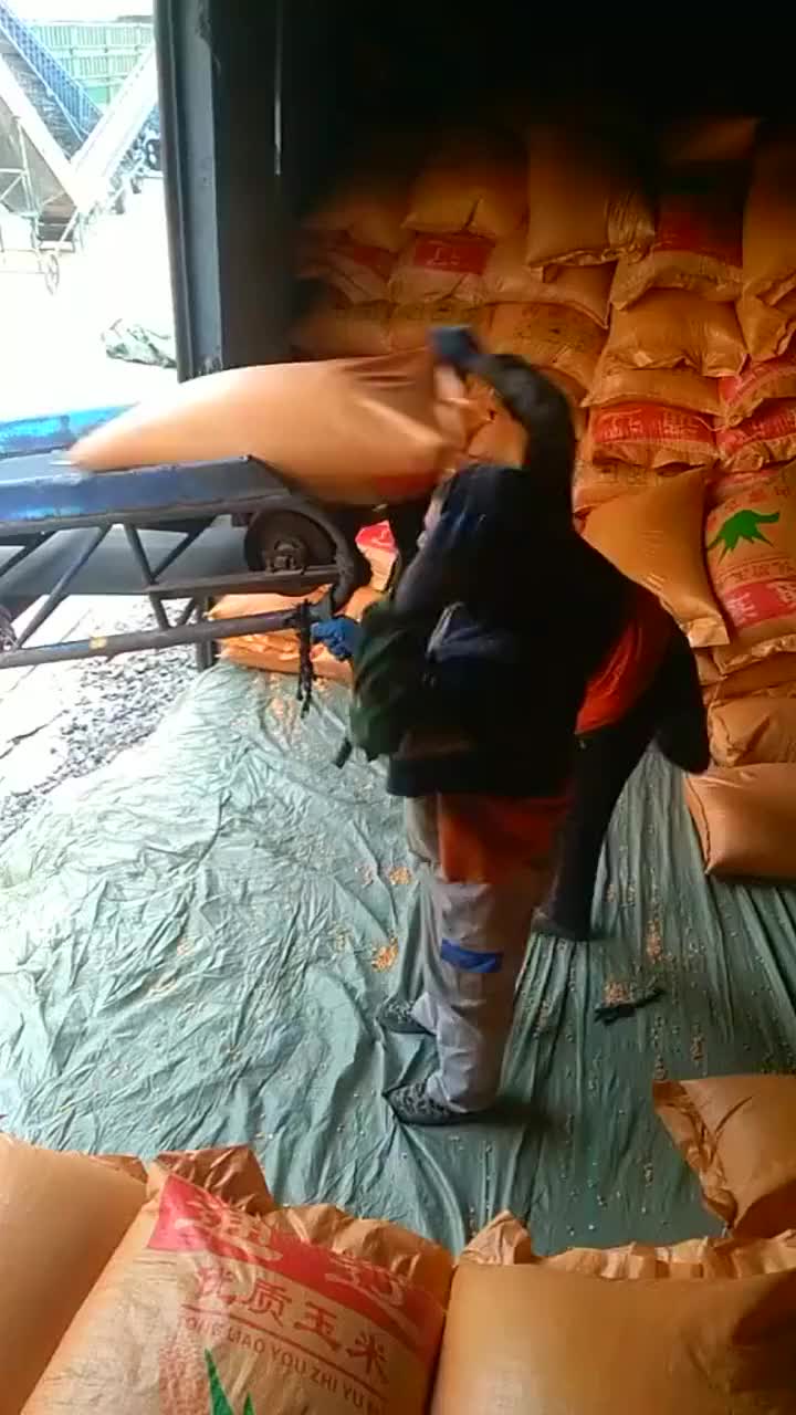 辛苦的搬运工,干就完了