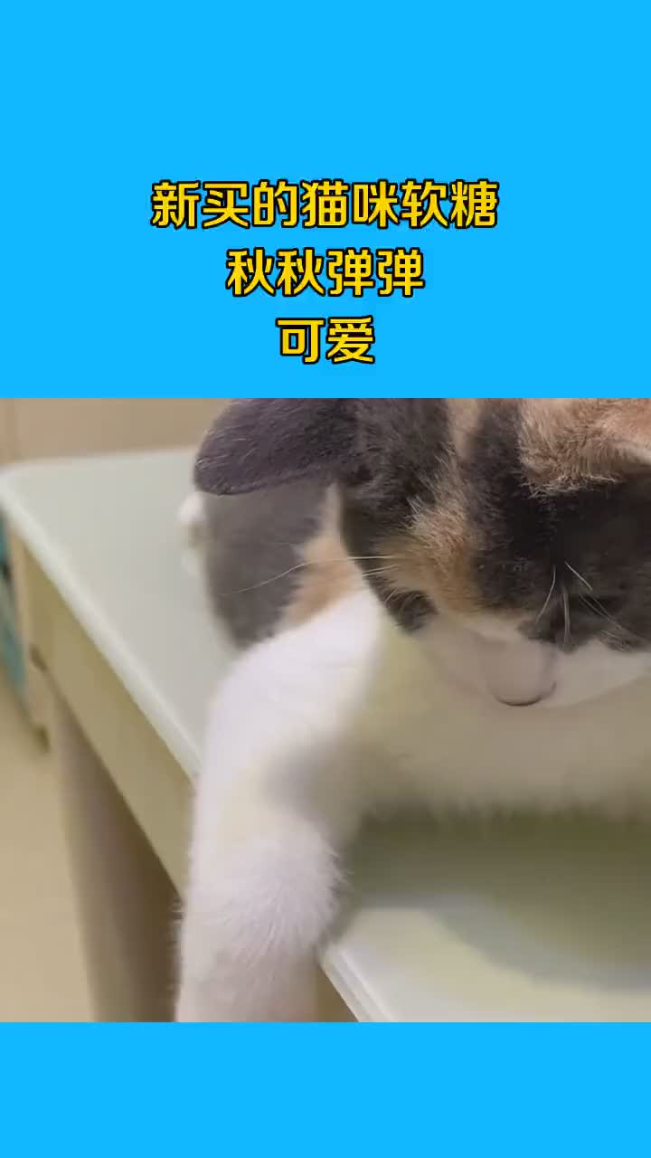 新买的猫咪软糖，秋秋弹弹可爱