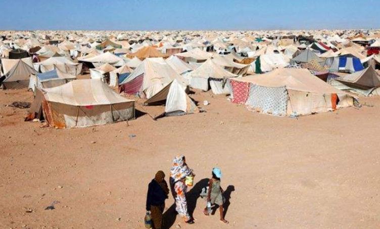 为何沙漠连续下雨24小时是一件很危险的事沙漠居民诉说缘由