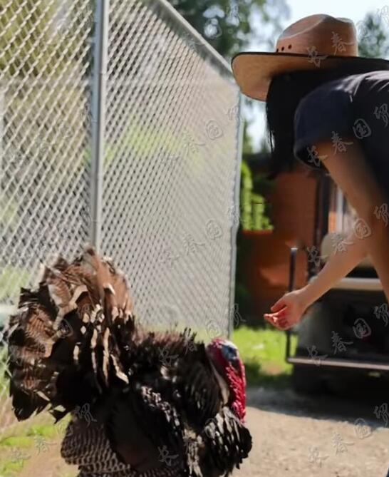 母亲被判无期徒刑！曲婉婷现状曝光：<a href=