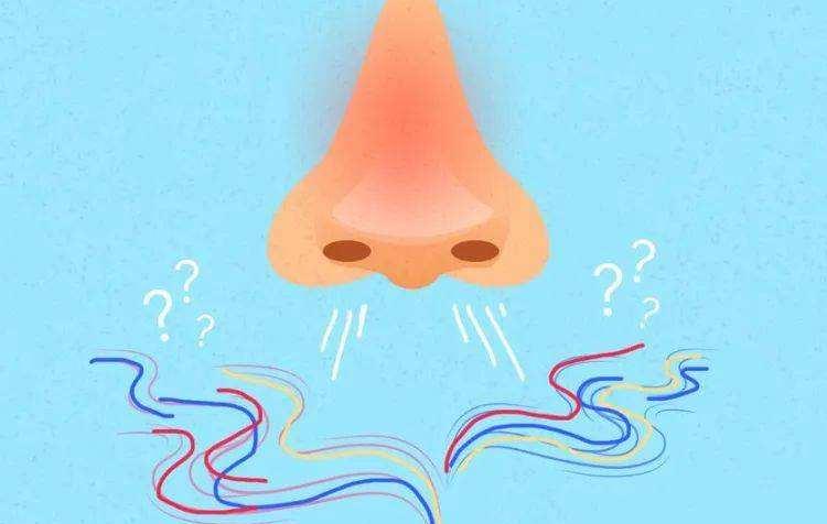 鼻子闻不到气味了?嗅觉出现下降,可能是4个问题找上门了!
