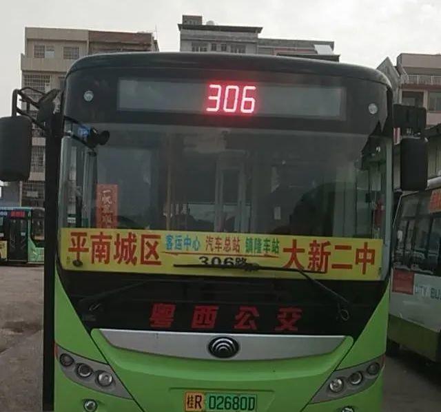 上车3元！大新镇至平南城区306路公交车正式开通！