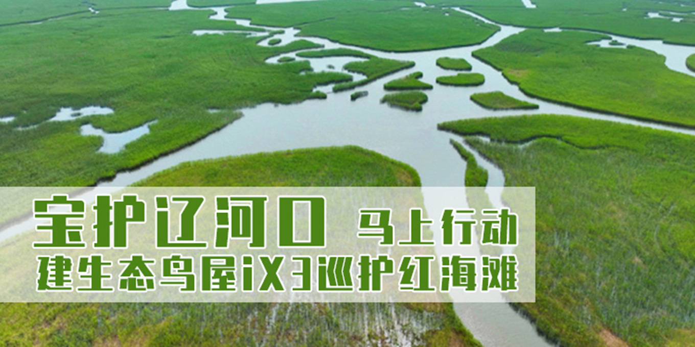 汽势视野:"宝"护辽河口"马"上行动 建生态鸟屋ix3巡护红海滩|国家级