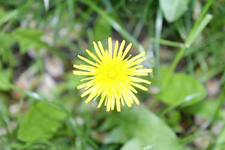 3月底，撞上新桃花，邂逅今生挚爱，3大生肖红尘相伴，喜得佳缘