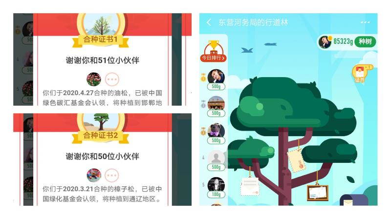 东营黄河河务局工程管理"一步"不浪费|蚂蚁森林|河务局|东营_新浪新闻