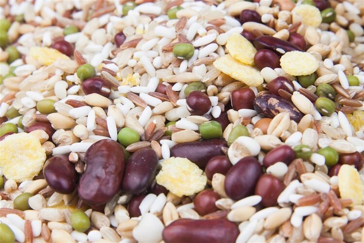 提醒:人走向衰老时,身体常有这4个表现,是时候多留意一下了休闲区蓝鸢梦想 - Www.slyday.coM 提醒:人走向衰老时,身体常有这4个表现,是时候多留意一下了休闲区蓝鸢梦想 - Www.slyday.coM