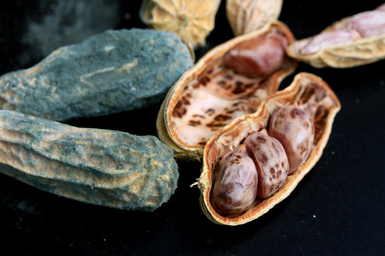 哈根达斯被查出致癌物,两款冰淇淋在台被召回,冰淇淋还能不能吃休闲区蓝鸢梦想 - Www.slyday.coM 哈根达斯被查出致癌物,两款冰淇淋在台被召回,冰淇淋还能不能吃休闲区蓝鸢梦想 - Www.slyday.coM