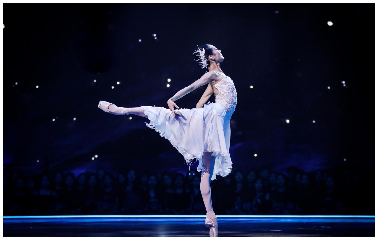 舞蹈风暴第二季收视三连冠谭元元天鹅归来绽放艺术魅力