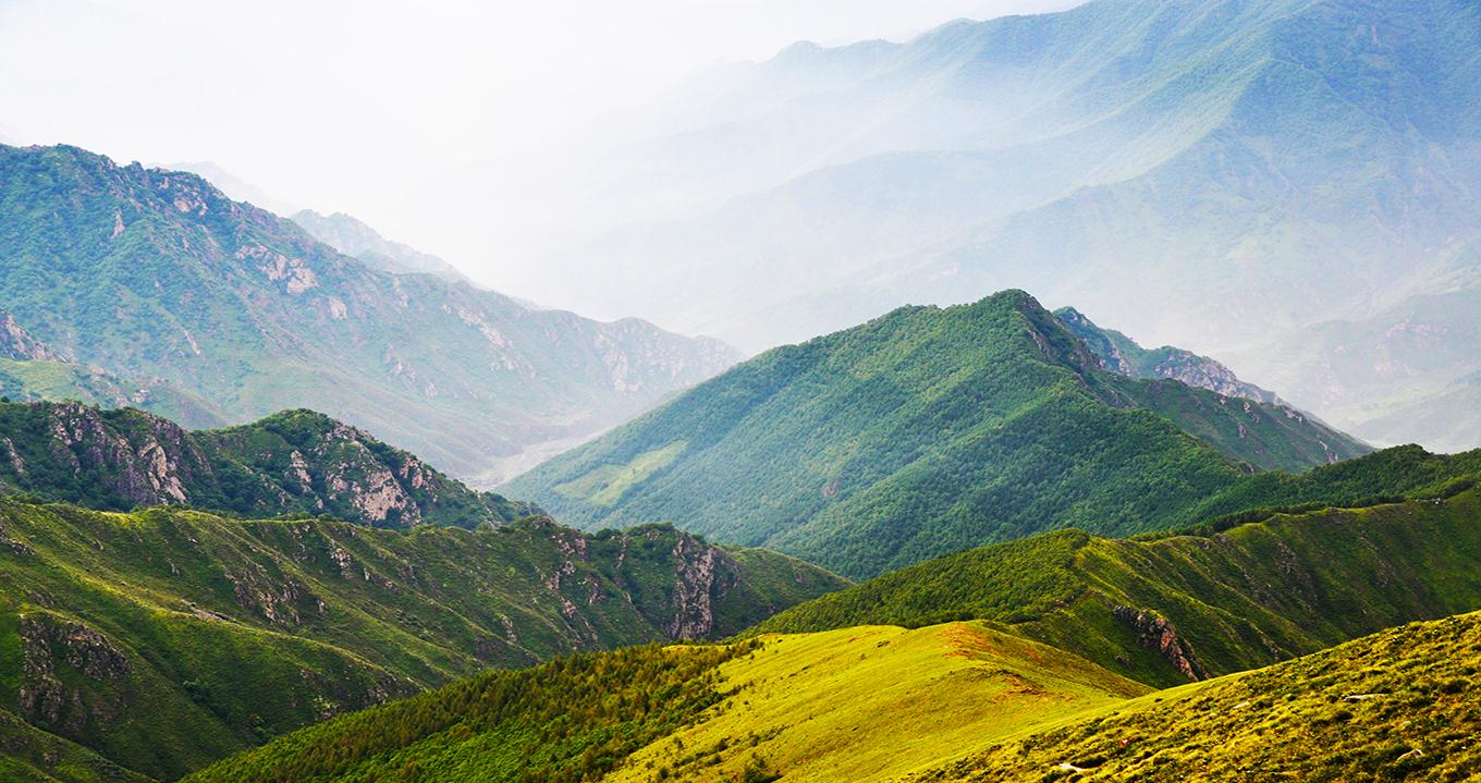 新援爆发砍下三双数据引球迷沸腾