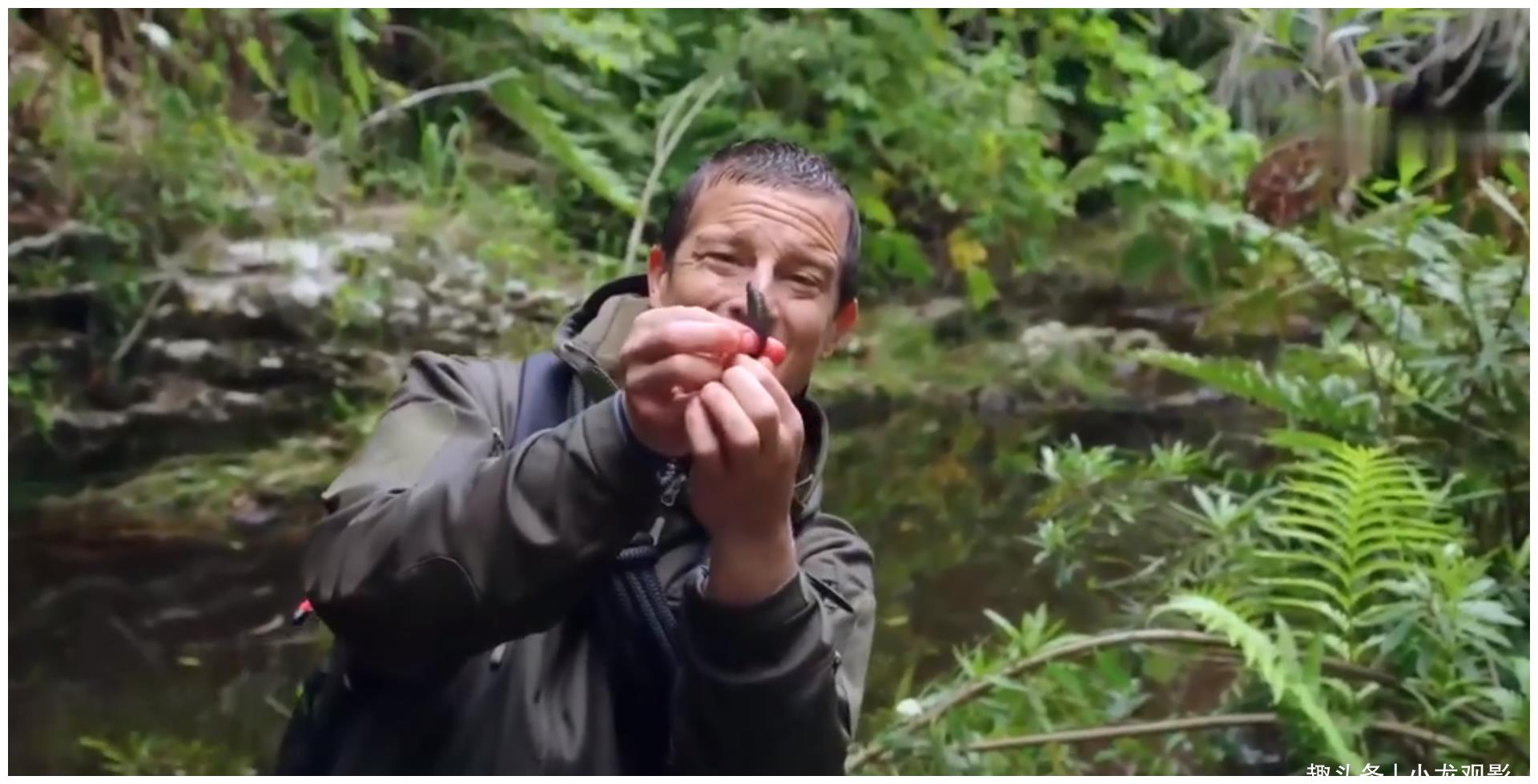 求生之路地图下载