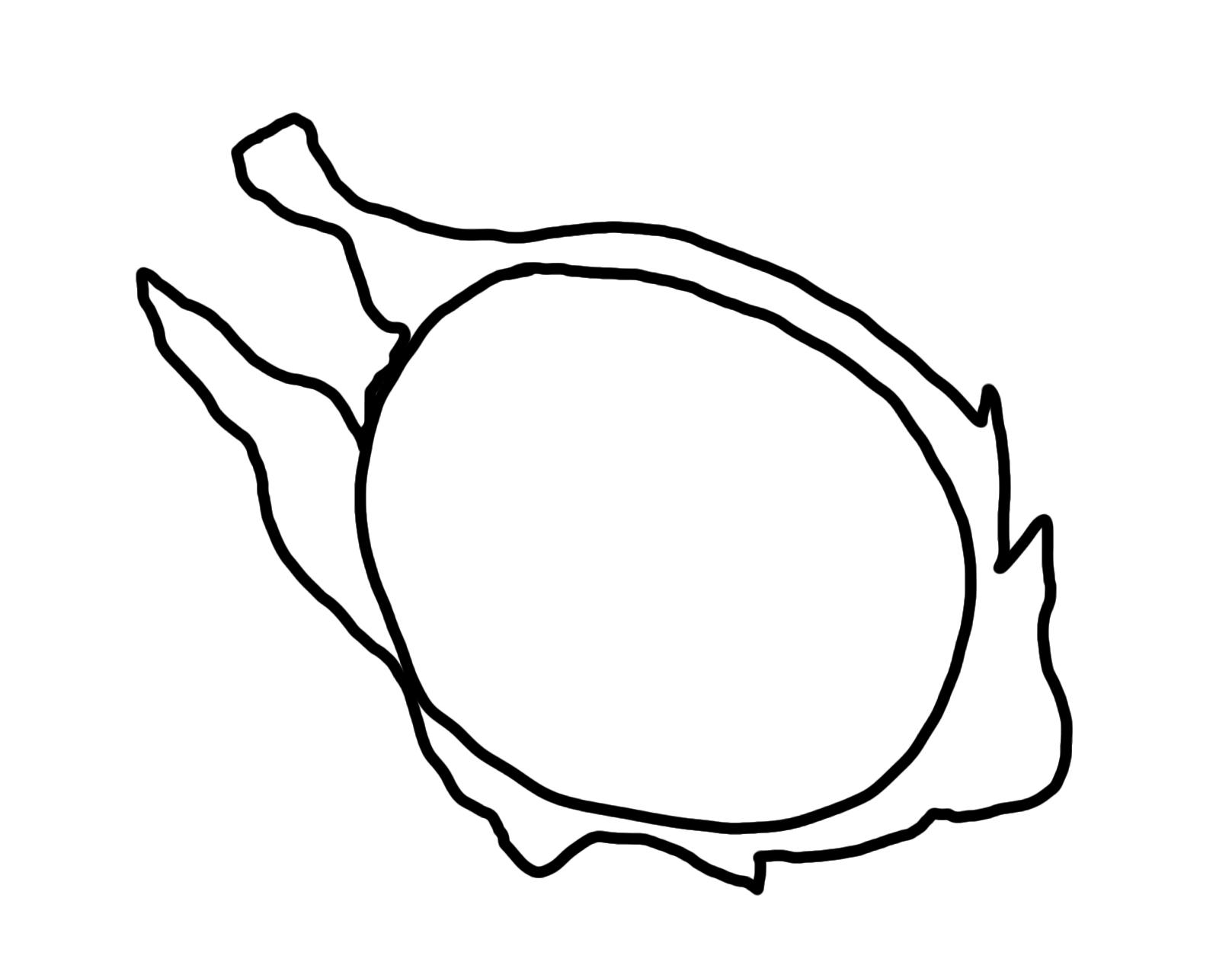 儿童简笔画课堂步骤图教你快速学会绘画简笔画水果火龙果