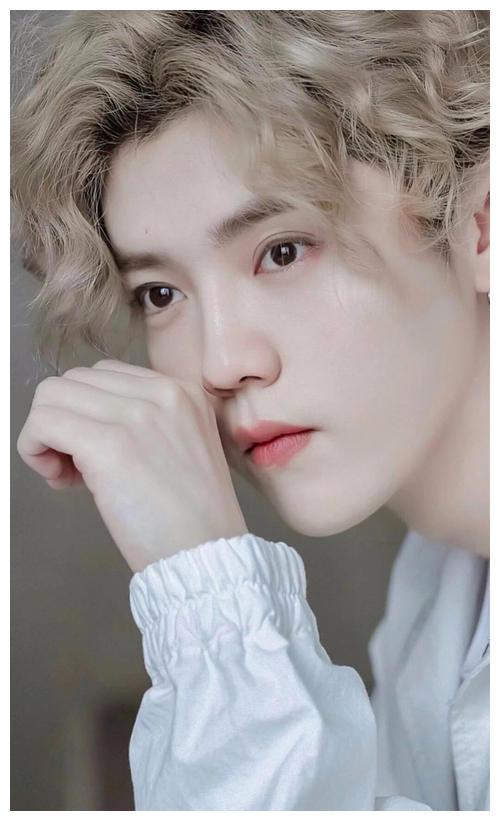 顶级流量鹿晗淡出娱乐圈,这其中有什么秘密?__财经头条